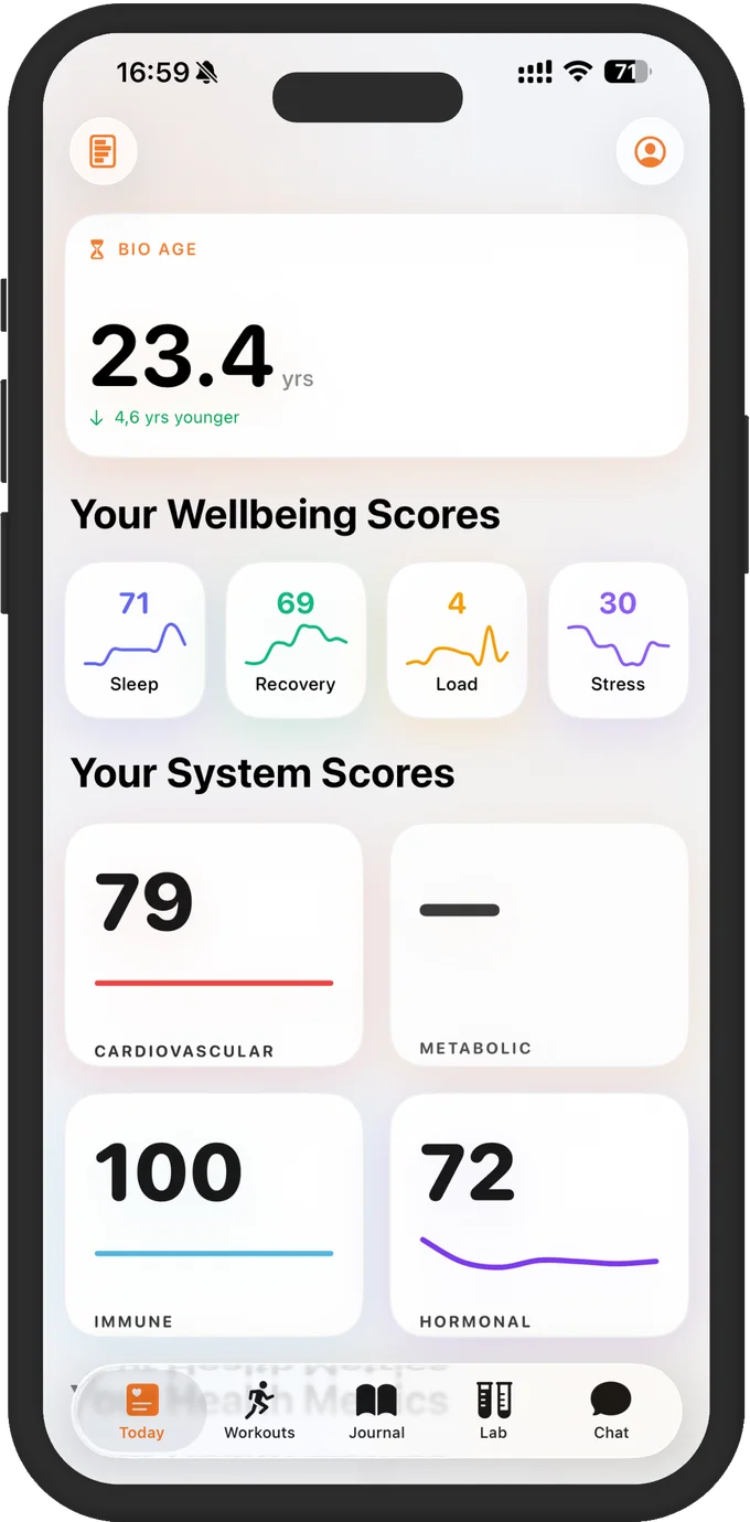 today section preview